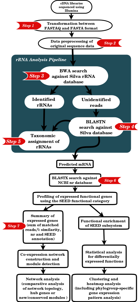 Analysis Pipeline